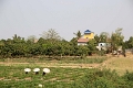 35_ile koh_chong_tissage_005